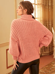 Turtle Neck Ribbed Knit Sweater
