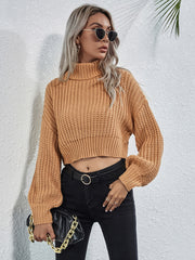 Turtleneck Lantern Sleeve Crop Sweater