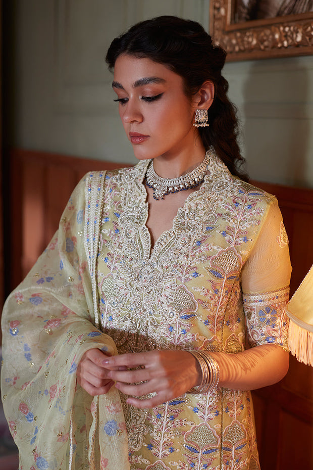 Mushq Dina - Unstitched Collection